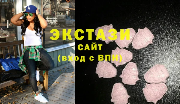 ECSTASY Алзамай