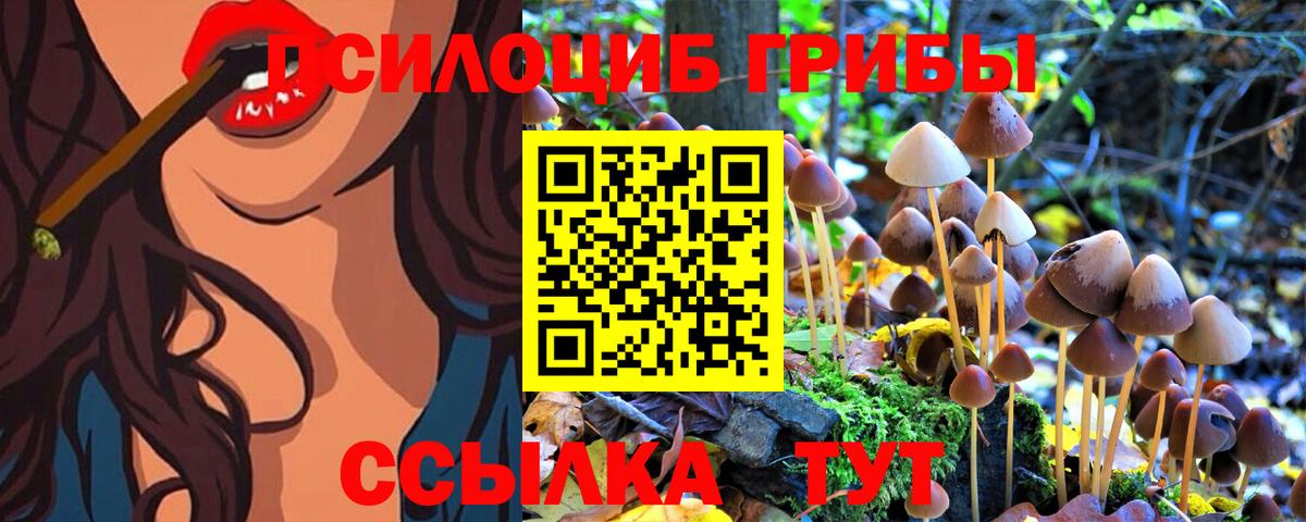 Псилоцибиновые грибы Psilocybine cubensis Грязи